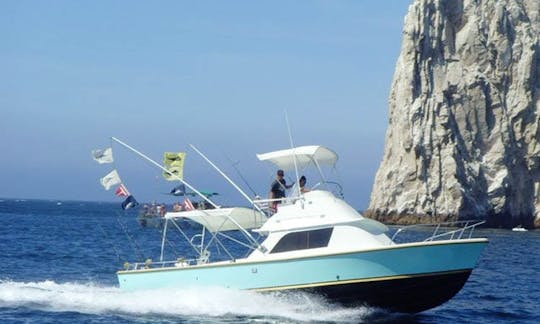 Pêcheur sportif Bertram de 31 pieds à Cabo San Lucas, Mexique