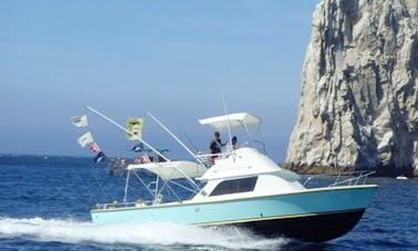 31ft Bertram Sport Fisherman in Cabo San Lucas, Mexico