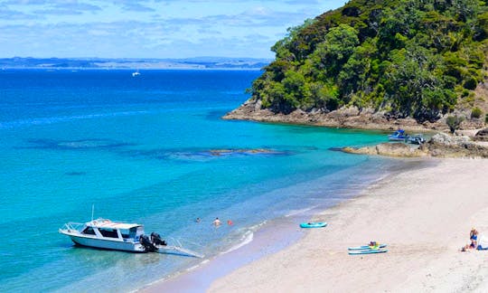 Relax on some of New Zealand's most unfrequented beaches!