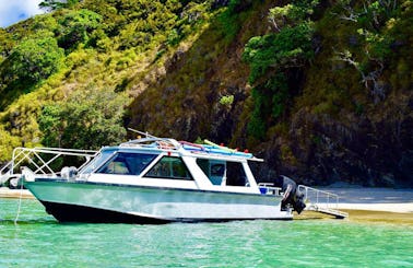 Private Charters and Water Taxi Tours in Bay of Islands, NZ