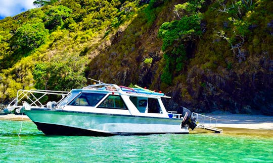 Our custom designed boat enables us to take you to the most secluded and unfrequented beach New Zealand has to offer!