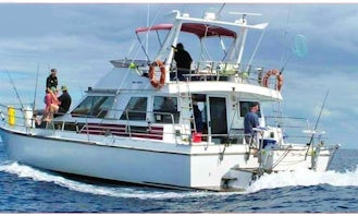 42' Fishing Charters in Gulf Harbour, Whangaparoa peninsula