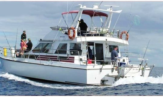 42' Fishing Charters in Gulf Harbour, Whangaparoa peninsula