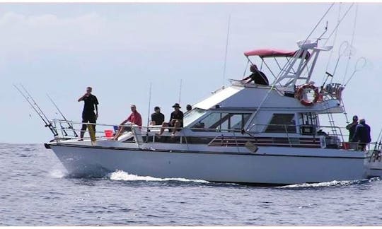 Cartas de pesca de 42 pés em Gulf Harbour, península de Whangaparoa