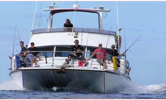 42' Fishing Charters in Gulf Harbour, Whangaparoa peninsula