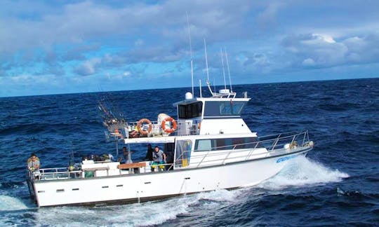 Fishing Trips in White Island, Ohepe