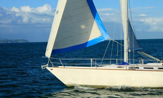 Charter 37' Day Sailer  in Sao Paulo, Brazil