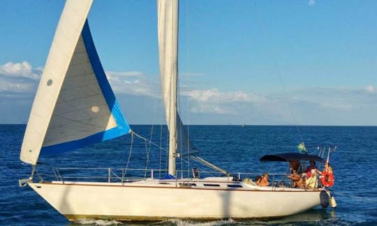 Charter 37' Day Sailer  in Sao Paulo, Brazil