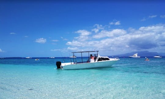 Profitez de la pêche avec cette location de pêche en cabine cuddy pour 8 personnes à Nadi, Fidji