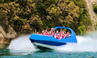 Jet Boat Ride trips in the Waikato River