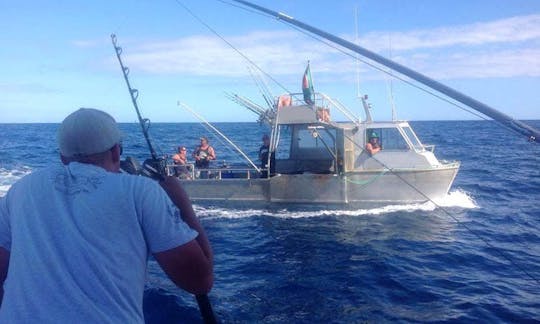 Enjoy Fishing in Ahipara, Northland on 30' Cuddy Cabin