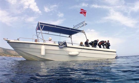 Excursiones de buceo y cursos de pago en Poli Crysochous