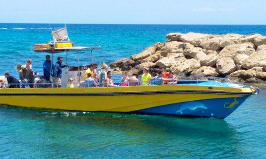 Dolphin Boat Safari in Ayia Napa