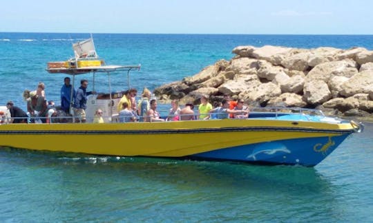 Dolphin Boat Safari in Ayia Napa