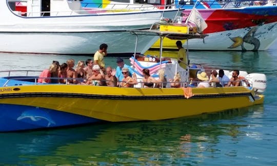 Dolphin Boat Safari in Ayia Napa