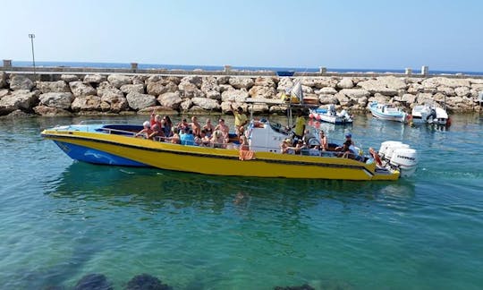 Dolphin Boat Safari in Ayia Napa