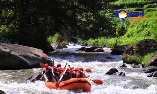 River Rafting Adventure on Ayung River in Ubud, Bali for only €26 per person!