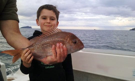 Enjoy Fishing in Tairua, New Zealand on 24' Strikezone Cuddy Cabin