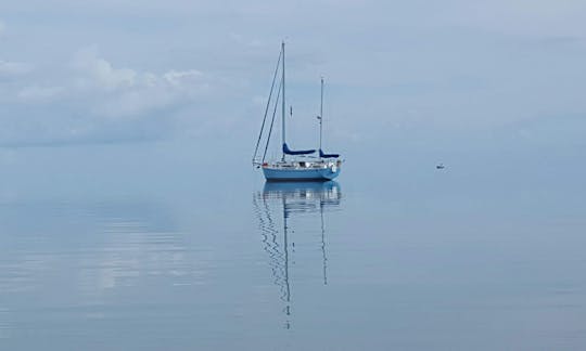 Unforgettable Monohull Sailing Adventure in Belize: Cruise the Coastline!