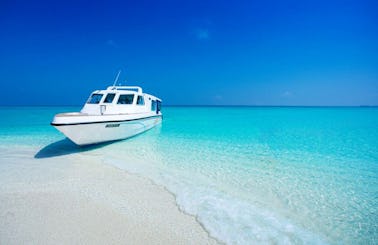 We gives outstanding LUXURY boat services!