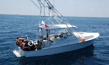 36' Sport Fisherman, Fishing Charter in Isla Mujeres, Mexico