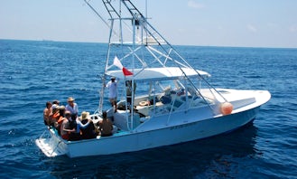 36' Sport Fisherman, Fishing Charter in Isla Mujeres, Mexico