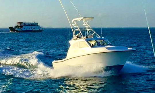 34' Fishing Charter in Isla Mujeres, Mexico