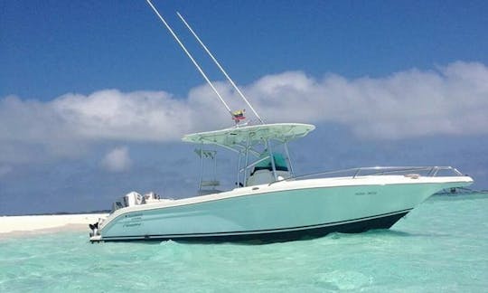 Disfrute de la pesca en Gran Roque, Venezuela, en la consola central