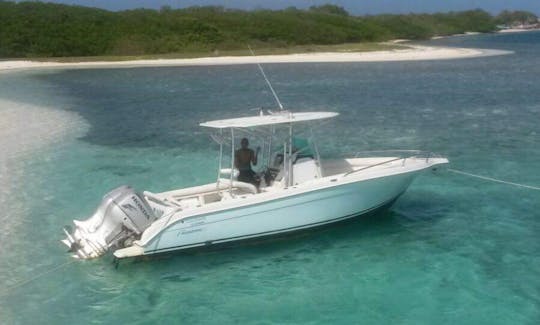 Enjoy Fishing in Gran Roque, Venezuela on Center Console