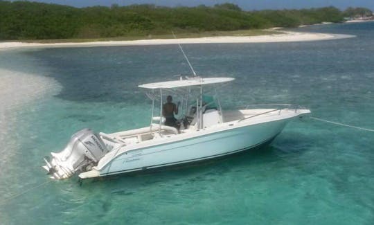 Disfrute de la pesca en Gran Roque, Venezuela, en la consola central