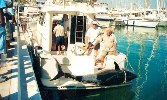 Fishing Cruising Boat In Estepona, Spain