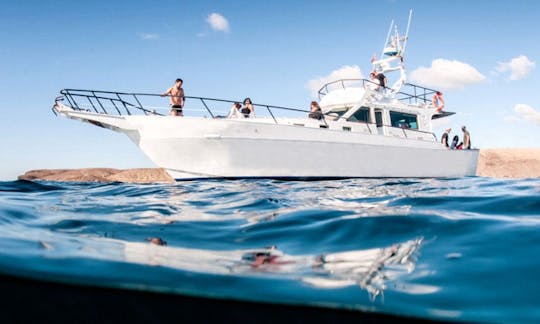 Cruzeiro de barco em playa blanca (somente com capitão)