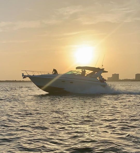 Découvrez le luxe en mer avec le Trojan 40' 🚤🌊