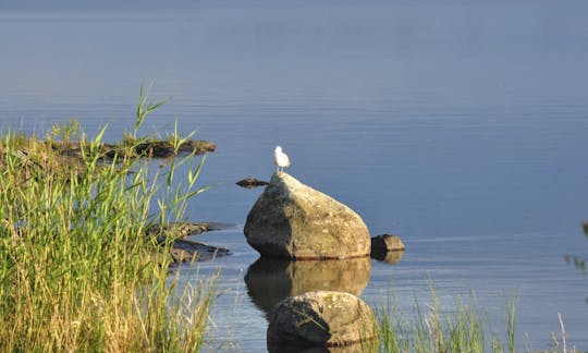 Cruising Monohull rental in Vänern