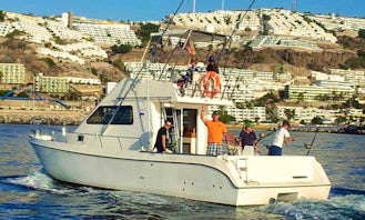 Cata 356 Fishing Charter in Calle Puerto Base