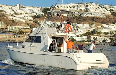 Cata 356 Fishing Charter in Calle Puerto Base