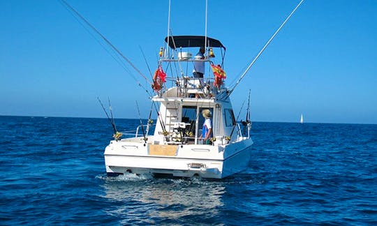 Fishing Charter In Costa Adeje