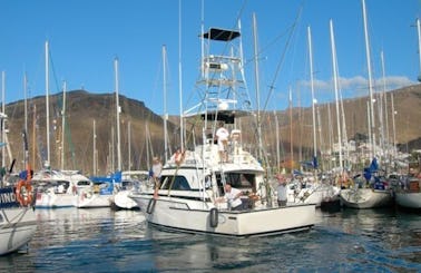 Sport Fisherman Fishing Charter in San Sebastián de La Gomera, Spain