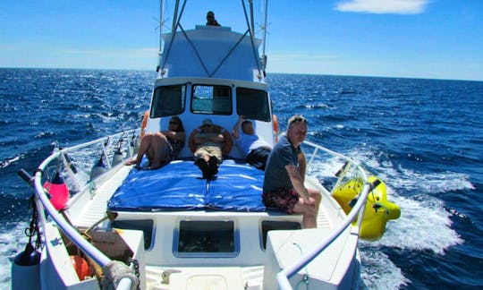 A perfect boat for a chill out cruise along the coast of Lanzarote