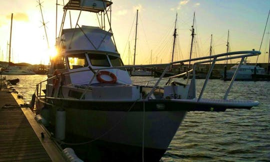 39' Sport Fisherman Charter in Puerto del Carmen, Spain