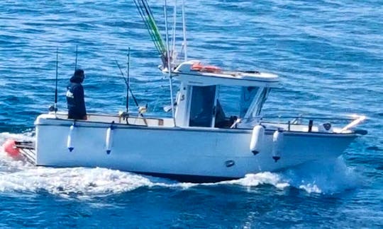 Antares 700 peche fishing charter in Corralejo