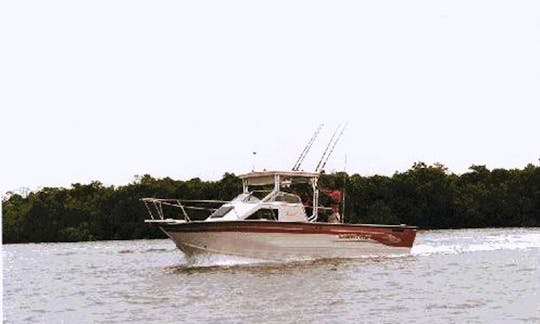 Enjoy Fishing in Bakau, Gambia on 24' Hanna 1 Sport Fisherman