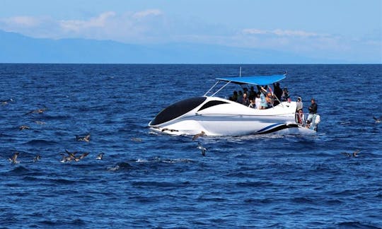 Glass Bottom Boat Tour in Angra do Heroísmo, Portugal