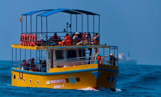 Departs From Mirissa - daily boat tours in Sri Lanka