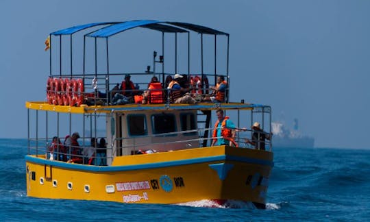 Saídas de Mirissa - passeios diários de barco no Sri Lanka