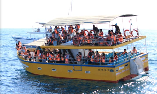 Saídas de Mirissa - passeios diários de barco no Sri Lanka