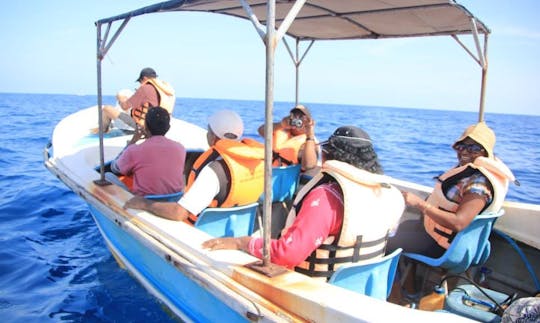 Explore Kalpitiya, Sri Lanka by Outboard boat Charter