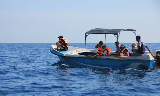 Explorez Kalpitiya, au Sri Lanka, en bateau hors-bord