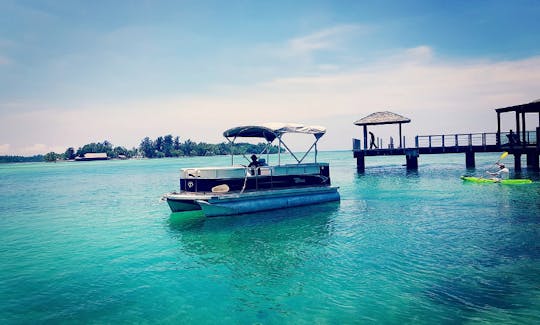 Enjoy Private Tour On 19' Tahoe Pontoon In Erakor Lagoon, Vanuatu