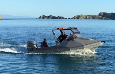 19ft "Silver One" Cuddy Cabin Boat Rental In Havelock, New Zealand